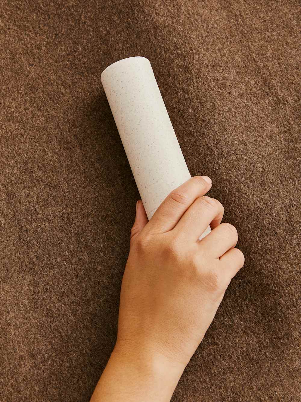 Steamery Lint Brush - Beige