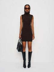 Holland Cashmere Turtleneck Sweater Dress - Compost